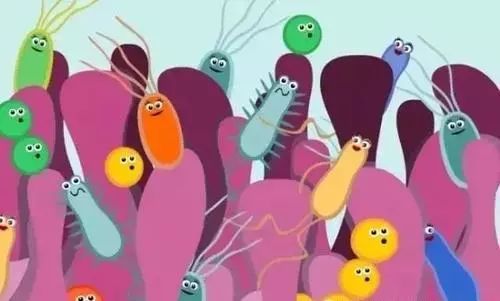 大便漂浮是什么毛病,大便后漂浮油膜