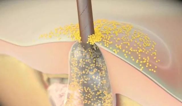 新西兰深度睡眠喷雾,新西兰深睡眠喷雾