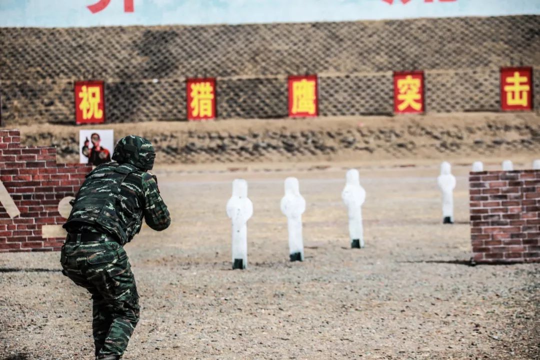 鹰击长空图片,鹰击长空完整版