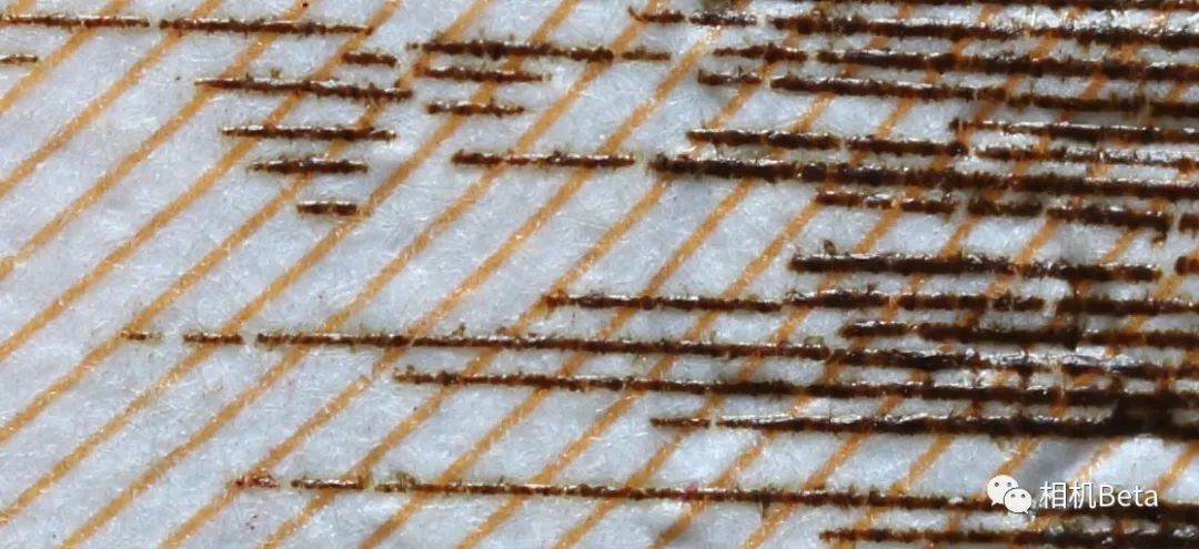 老蛙10mmf2.8多少钱,老蛙100mmf2.82倍微距