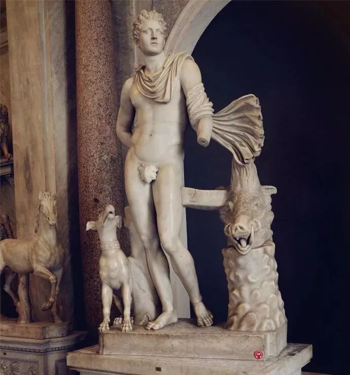 野猪的“世界史”,也是一部《权力的游戏》