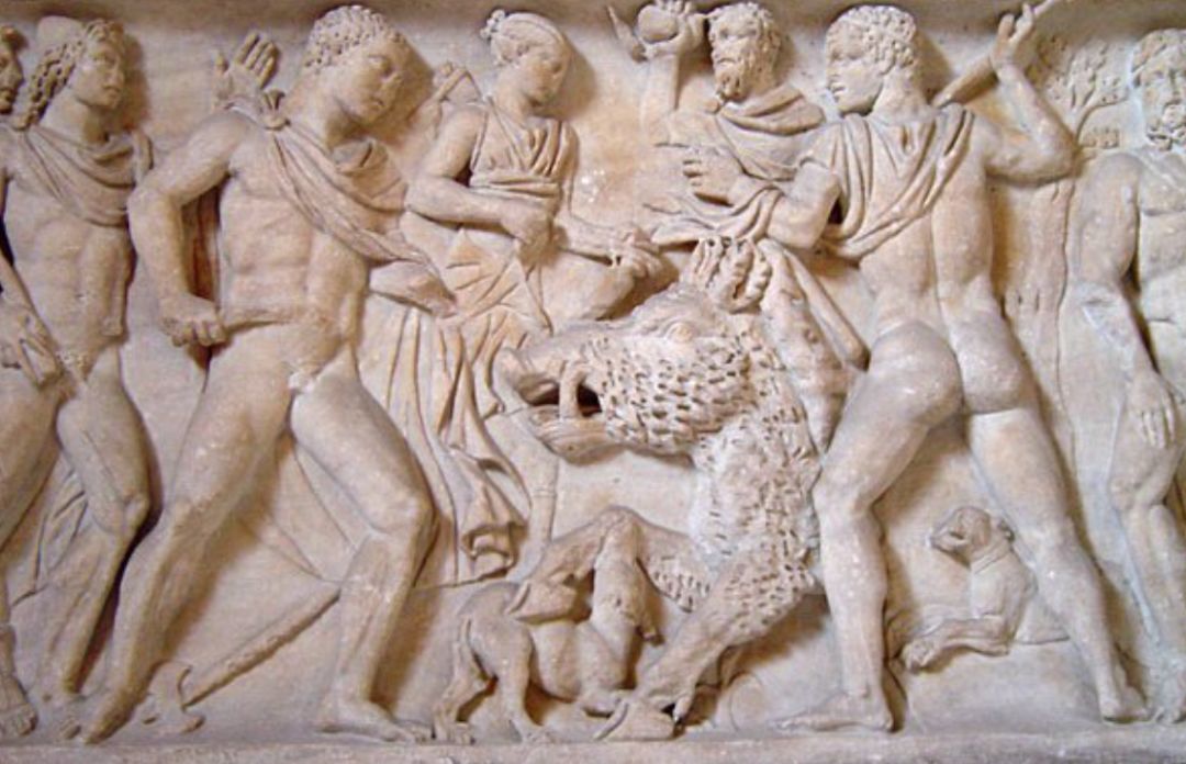 野猪的“世界史”,也是一部《权力的游戏》