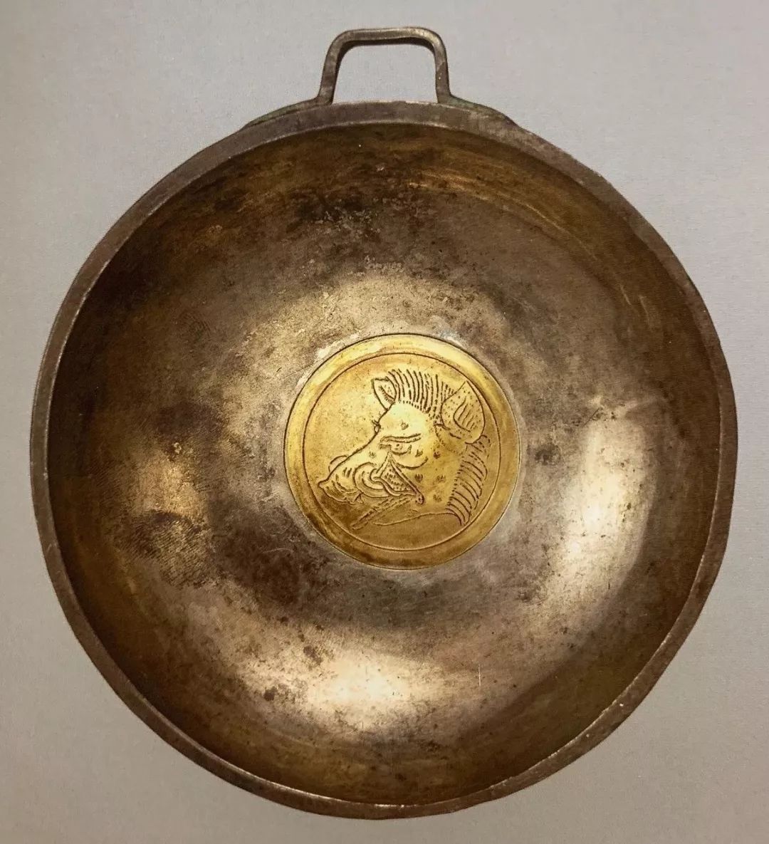 野猪的“世界史”,也是一部《权力的游戏》