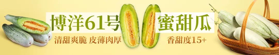 祛湿气薏仁丸,祛湿薏仁丸功效作用