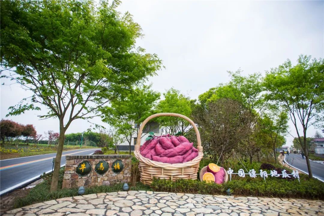 溧阳知青农场网红打卡地,溧阳网红打卡地茅山