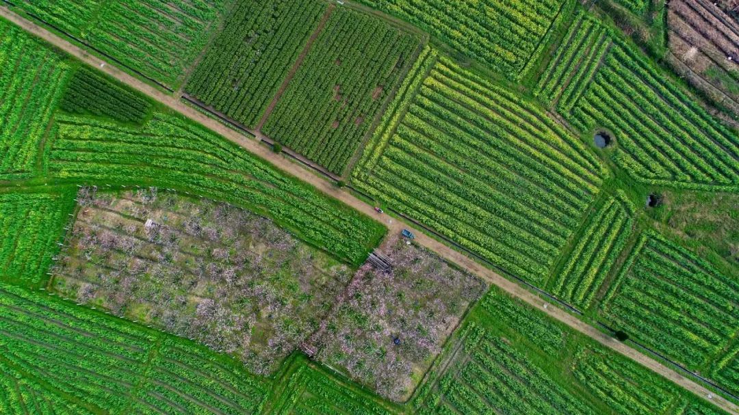 湖州最新规定,湖州新政策最新消息