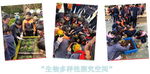 哇!共享让教育这么精彩