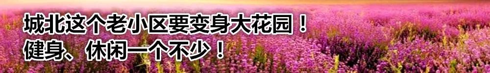 杭州拱墅区重点中小学,拱墅区十大小学排名