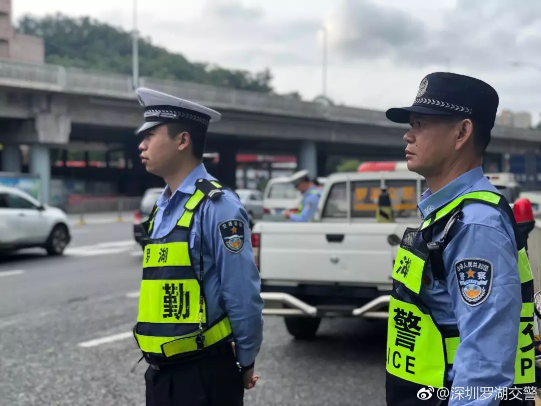 9大行动！罗湖掀起了一股热潮！齐心协力干好这件事！