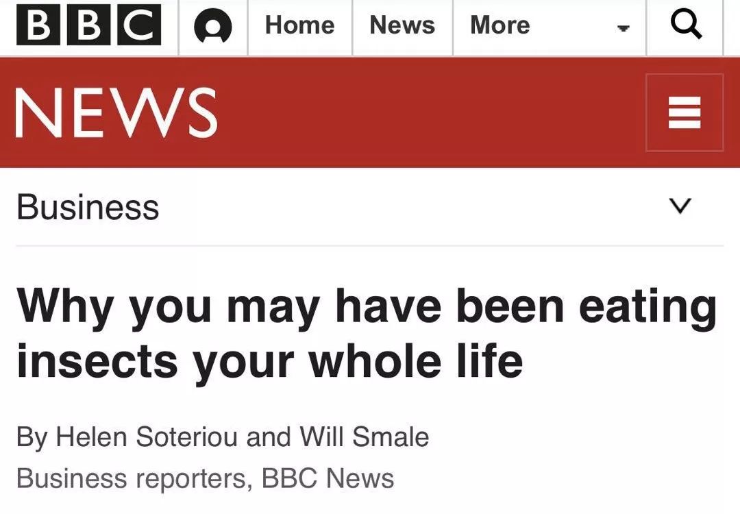 BBC又来惊爆：你抹口红，就是在亲吻上万只昆虫尸体？美丽背后这么血腥…