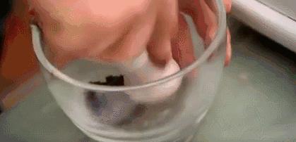 BBC又来惊爆：你抹口红，就是在亲吻上万只昆虫尸体？美丽背后这么血腥…