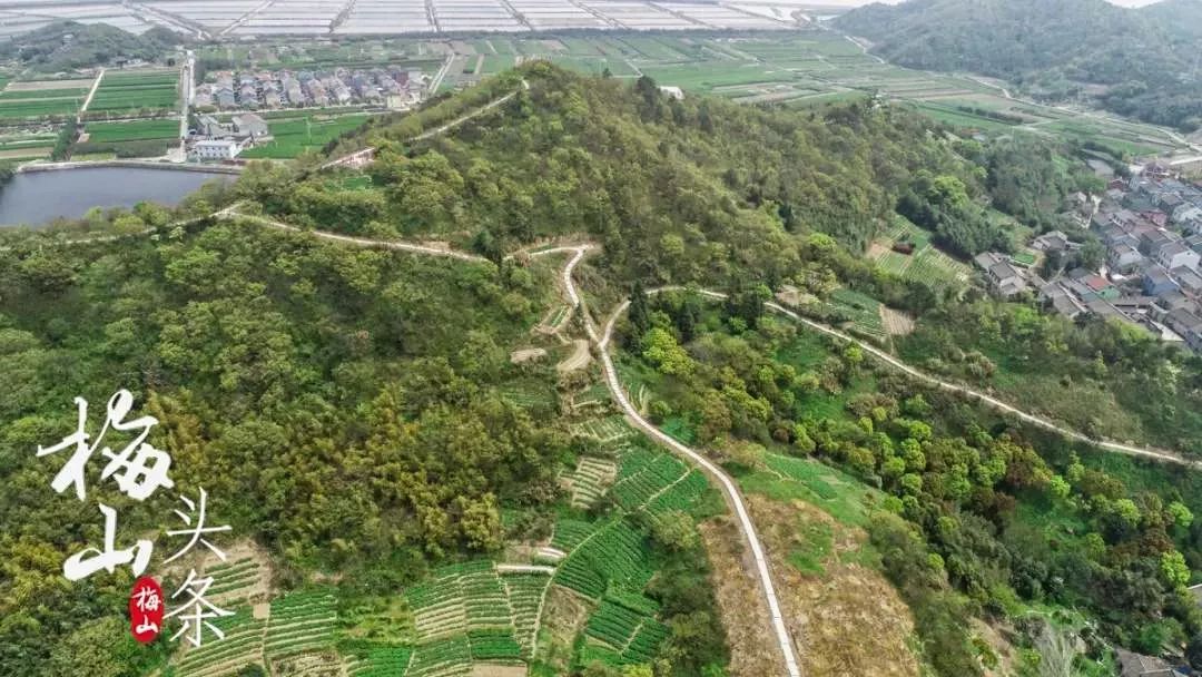 最美梅山,美丽南安梅山