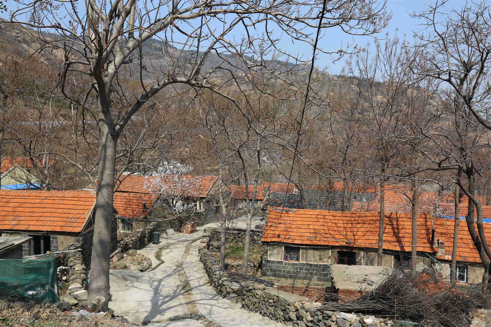 青岛周边游海岛必推之灵山岛篇,青岛旅游攻略必去景点青岛栈桥