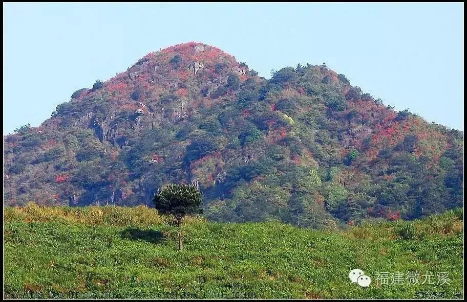 尤溪汤川最高山峰排名,尤溪十大高峰排名