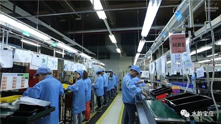 王逍霄,王逍霄演讲视频