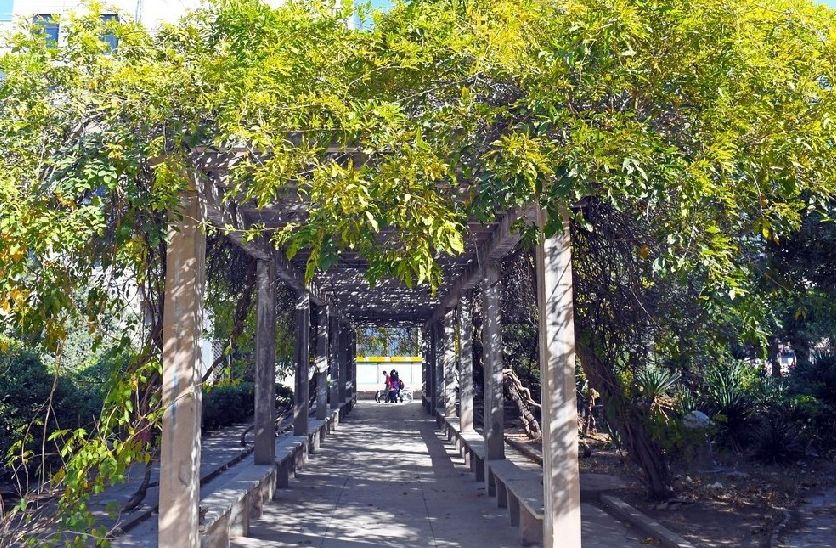 郑州北大新世纪实验学校教师招聘,郑州市科技学院招聘教师公告