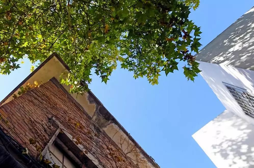 郑州北大新世纪实验学校教师招聘,郑州市科技学院招聘教师公告