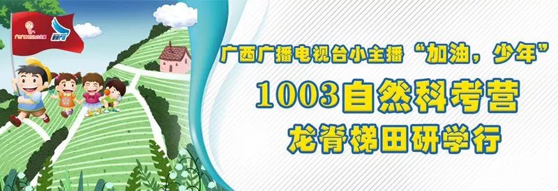 如何打造一个舒适的家,140北欧风3室2厅打造绿意舒适的家