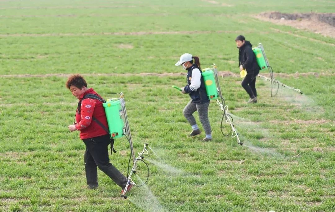 最省钱的打药技巧,高手打药技巧