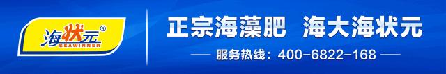开普敦海藻精和海藻肥,海藻精新型肥料