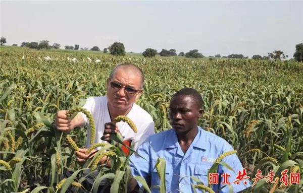 【红色冲击波】章彦俊：在非洲种谷子的“中国好人”