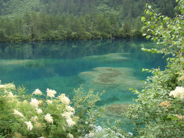 温馨提示,去九寨沟温馨提示