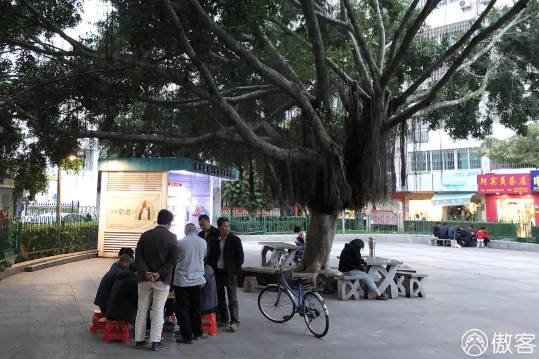 厦门海沧必去的美食店,厦门海沧地道美食