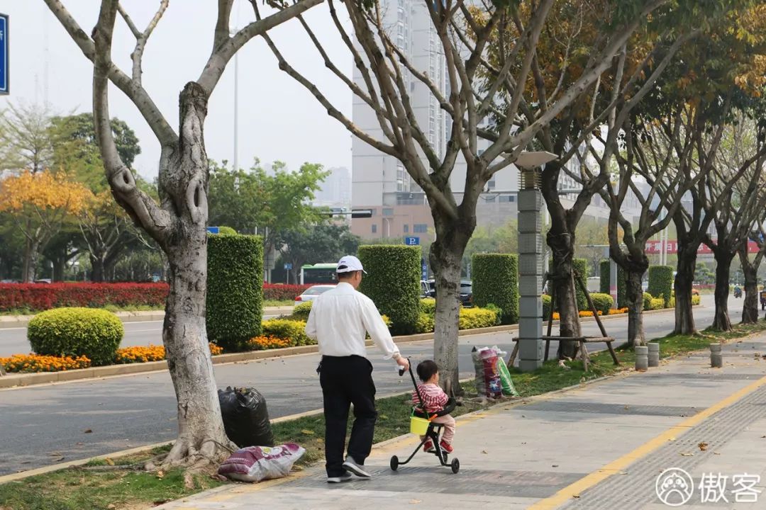厦门美食探店海沧,厦门海沧特色美食探店