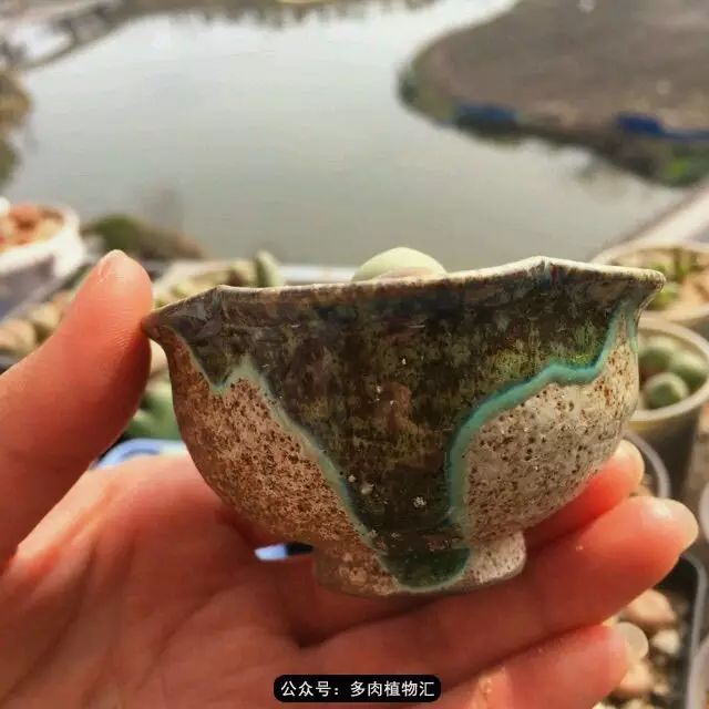 听说这段时间，肉友都在疯狂手撕屁屁？别了吧，再撕屁屁就烂了！