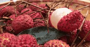 【静夜有声】重读经典《荔枝蜜》