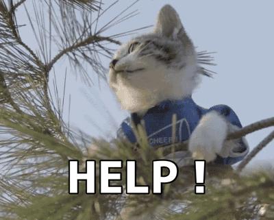 谁说美白精华不便宜,377美白套盒美白界的扛把子