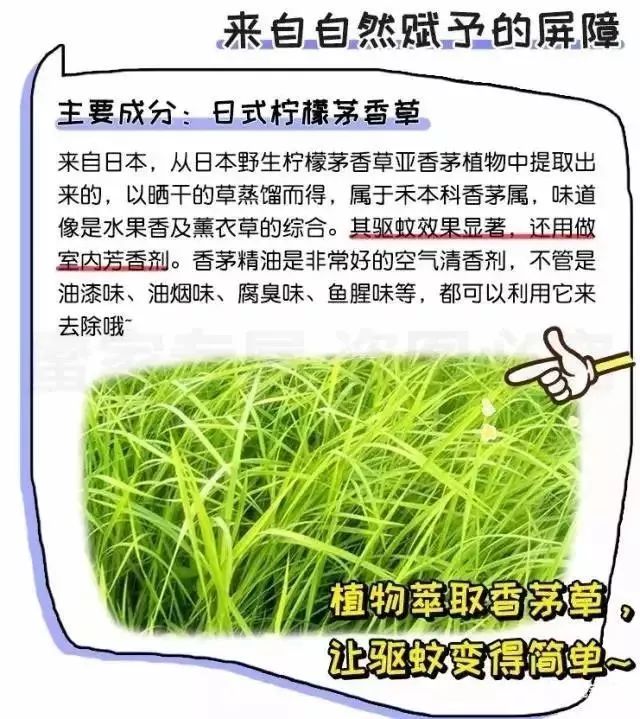 日本蚊子膏可以治过敏吗,日本蚊虫叮咬止痒膏红皮
