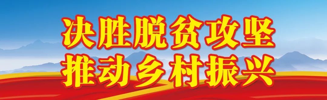 文化生活洗眼,文化生活色彩斑斓