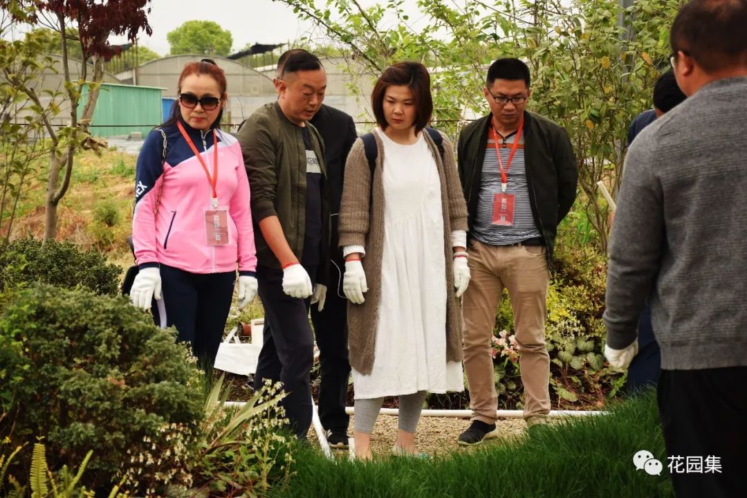 喷灌浇水最快的方法,庭院自动喷灌用什么水