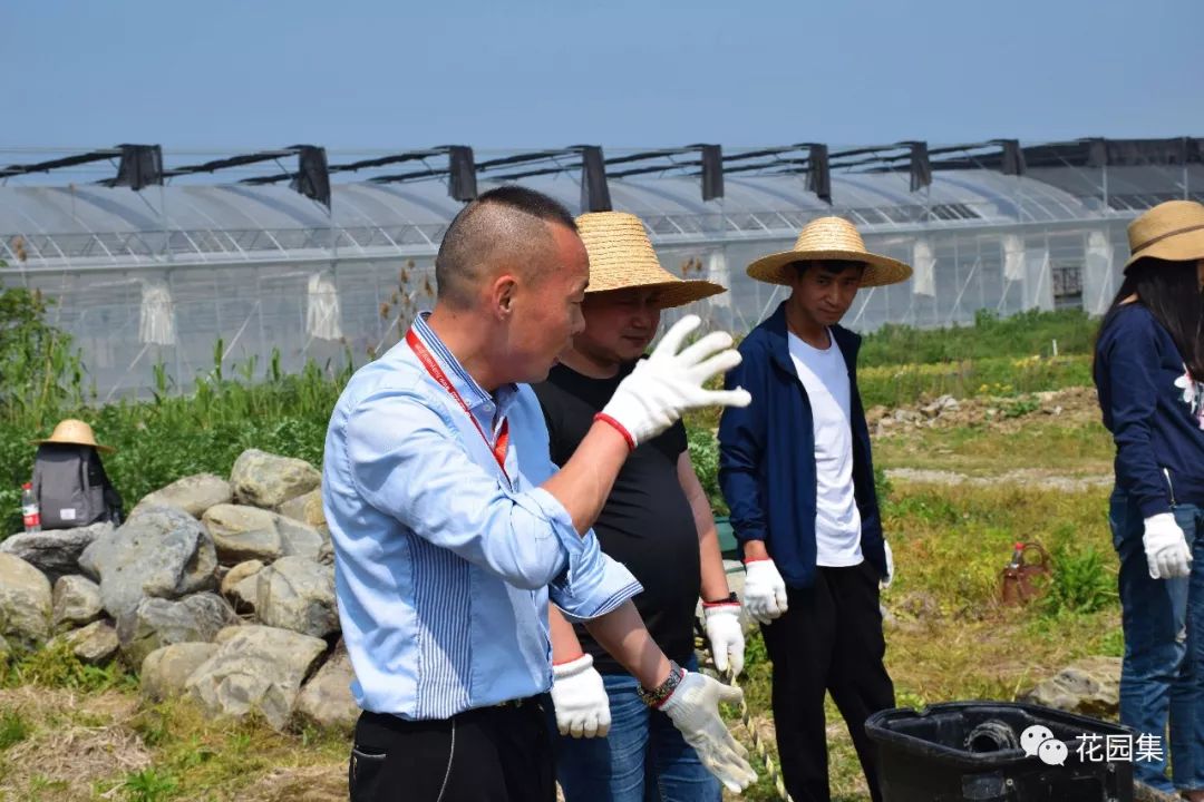 搴櫌姘存櫙鍠风亴,鍠风亴姘存櫙