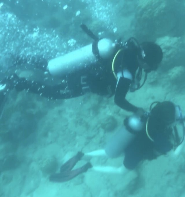 越南越美自由行攻略,去越南最好的攻略