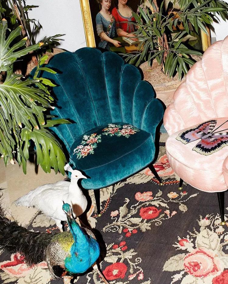 gucci新品牌,gucci家居