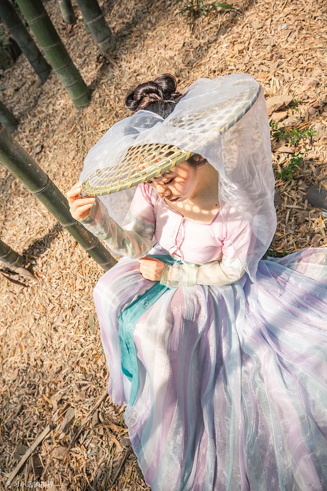 天目湖南山竹海三黑三白,南山竹海加天目湖二日游