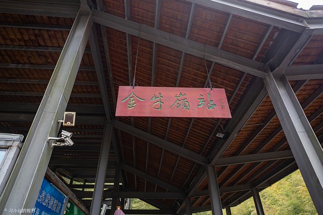 天目湖南山竹海三黑三白,南山竹海加天目湖二日游