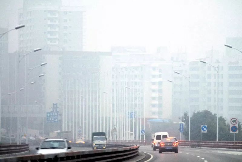 厦门41度高温,厦门天气湿度温度图表最新