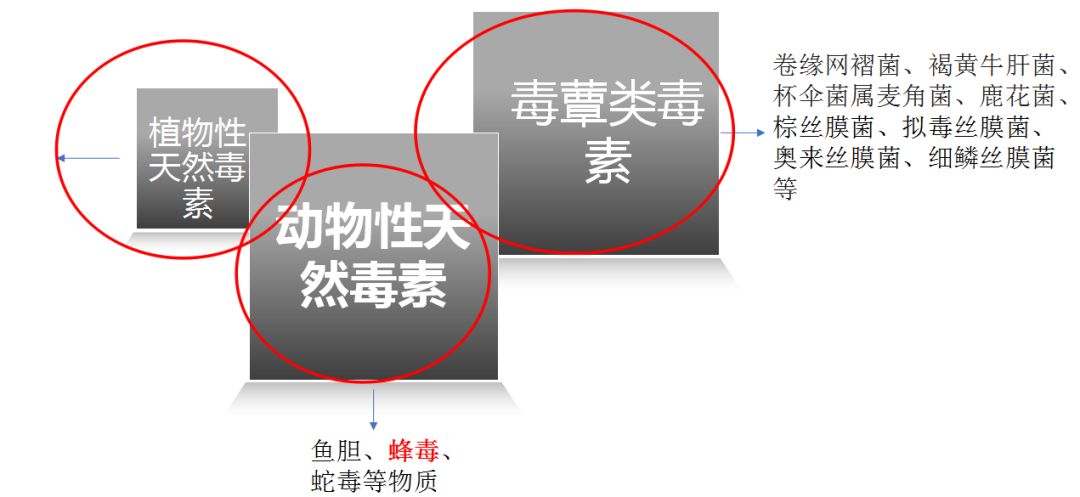 科普肾脏,医学科普出汗和肾脏关系
