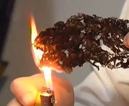 怎么分辨紫菜是塑料做的,都说紫菜是塑料袋做的能吃吗