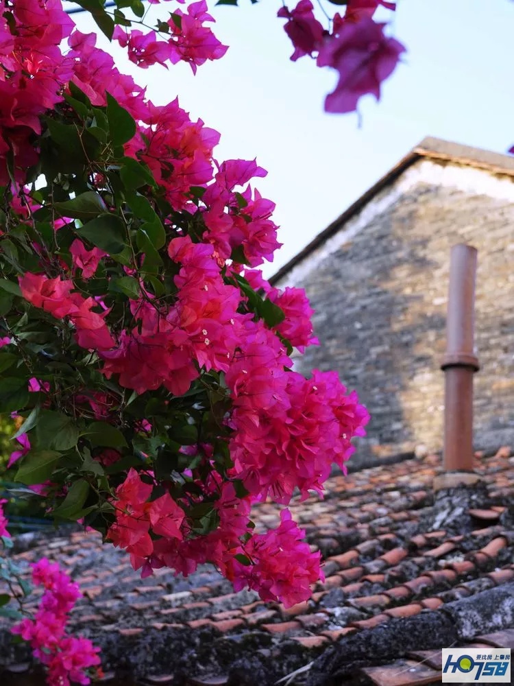 行摄肇庆·美丽砚洲岛——最接地气的生活记录，真实的力量打动人心