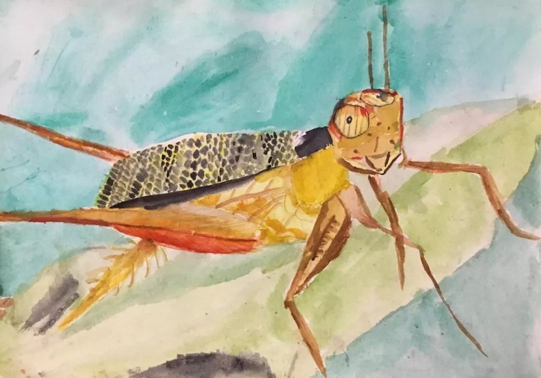 树洞画100幅欣赏,树洞松鼠儿童画