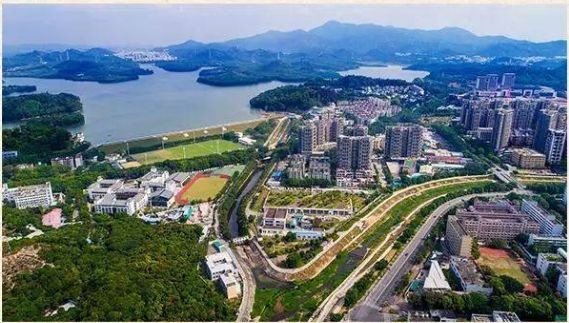 你为什么错过深圳湾,错过深圳