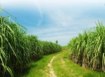 拯救姨妈痛必备韩国药,拯救姨妈小零食