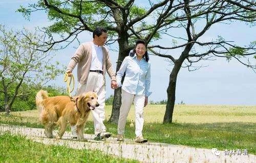 【杏林微科普】春火旺盛，该如何败春火（上）