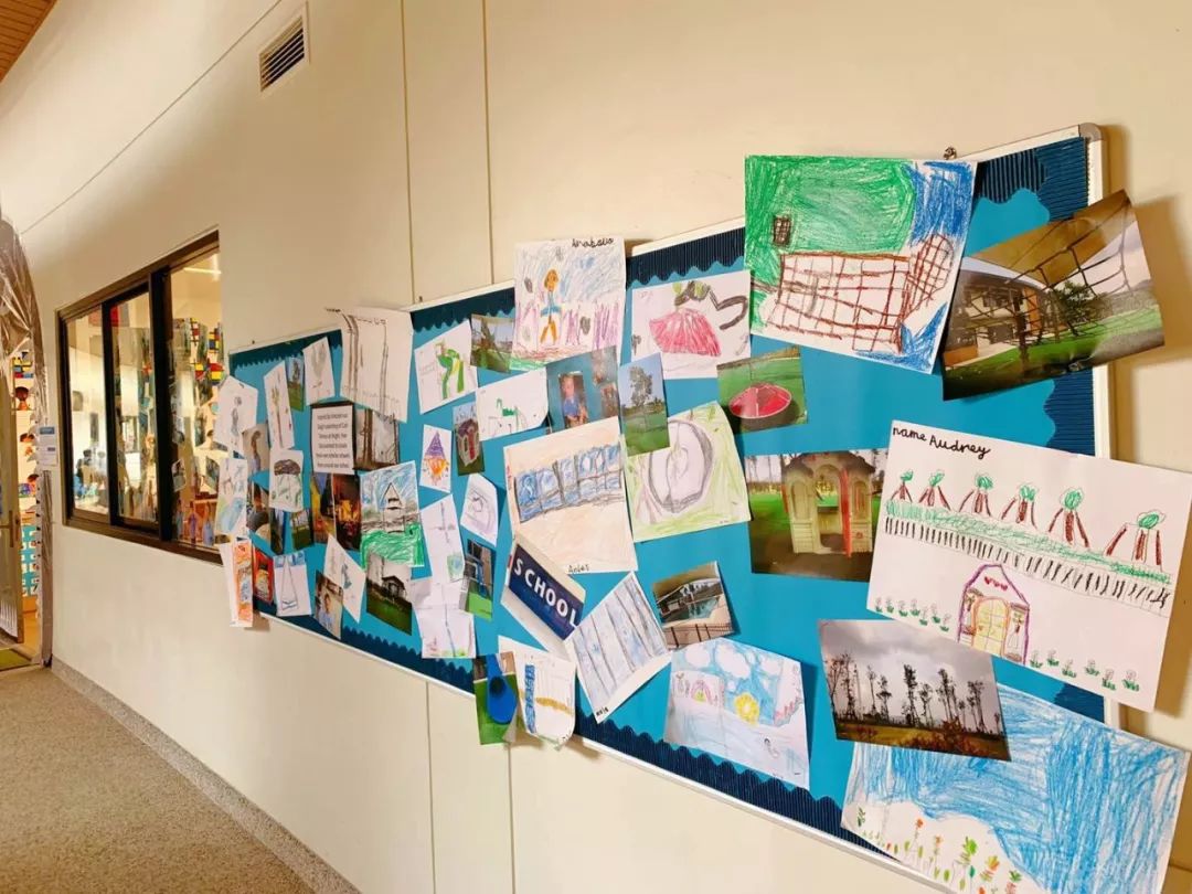 孩子小升初择校的文案,幼升小择校文案