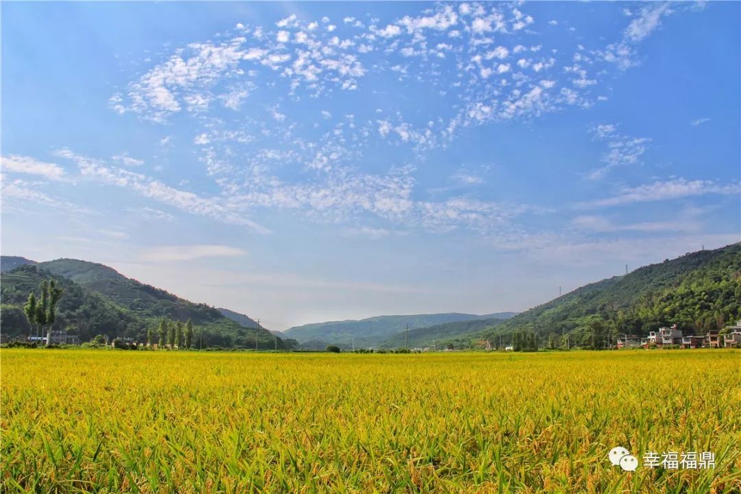 丰收节即将开始,农民丰收节即将开幕
