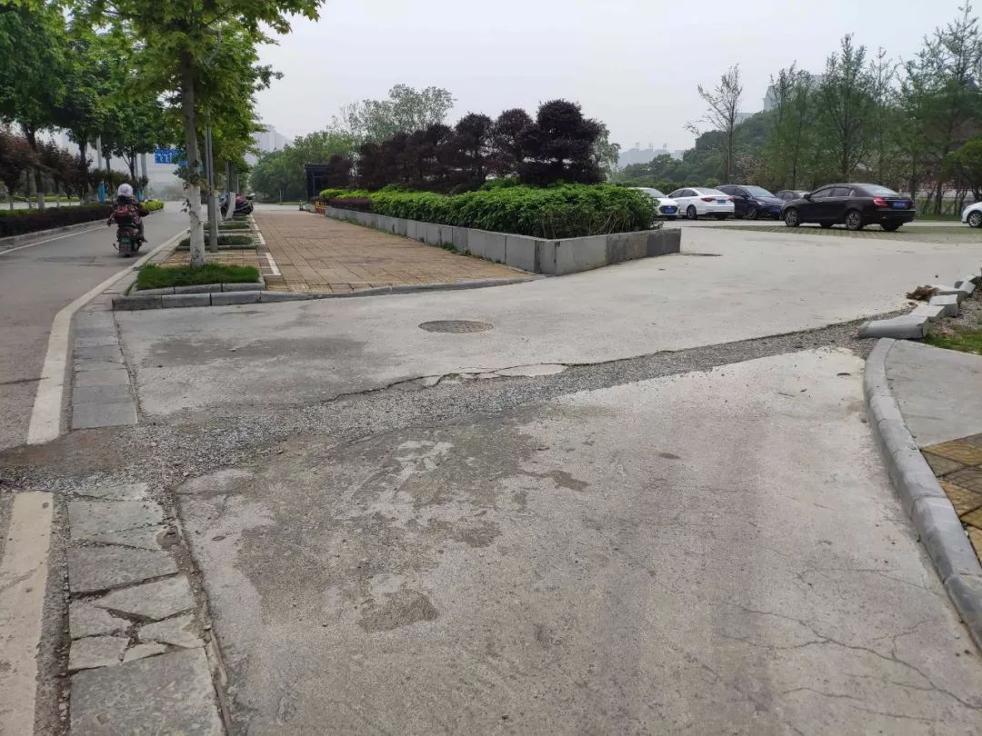 临桂身边的事,临桂最新发生的事件